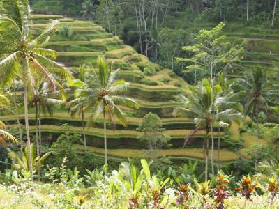 ついでなら寄ってみる?