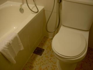 トイレも普通。便座が右にずれているのはマレーシア式