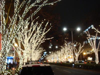 片道10分のイルミネーション旅行。