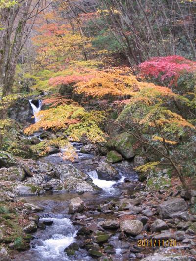 あまり観光化されてない自然の紅葉