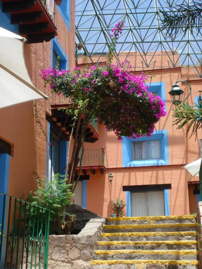 明るい感じです