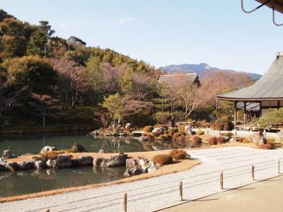 素晴らしいお庭は必見。