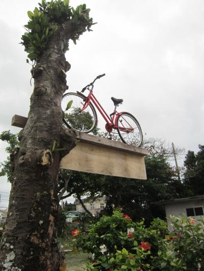 サイクリングしたよ。