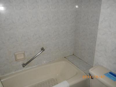 バスタブが付き。シャワーの勢いもあります。