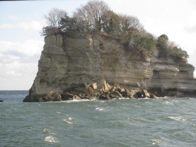 かもめがわんさか