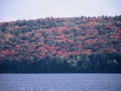 部屋から見えた風景