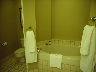 手作りのようなお風呂＆トイレ