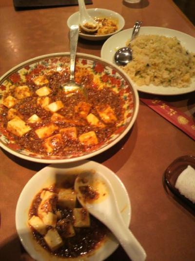 とにかく辛い麻婆豆腐