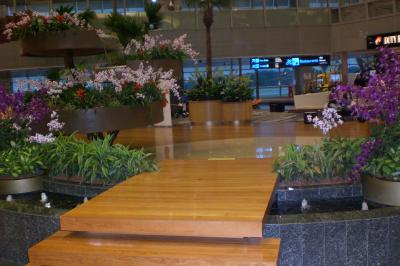 広くてきれいな空港