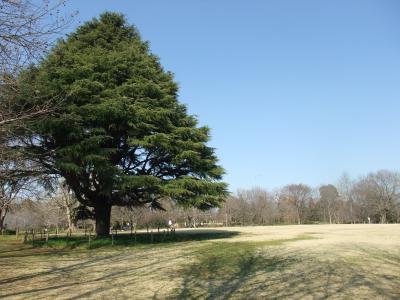 広～い公園のなかをのんびりと。