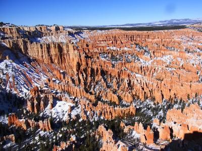 秋、冬の雪化粧した感じも素敵です☆