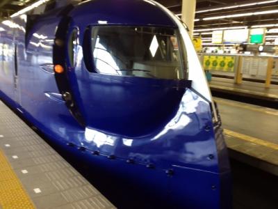 南海電車の特急電車はかっこいいです。