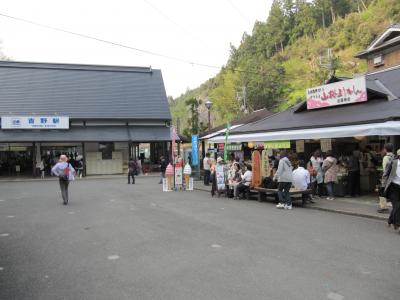 観桜ならぬ観人？