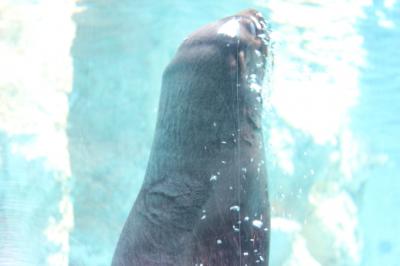 いままで見た動物園で一番