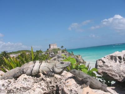 トゥルム遺跡（ホテルから車で２時間ほど）