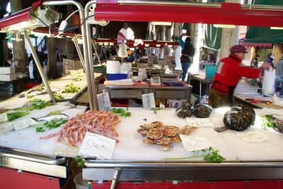 トラゲットにも乗れます