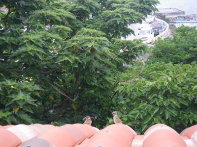 まるで我が家！な、しっくり感のあるお宿。