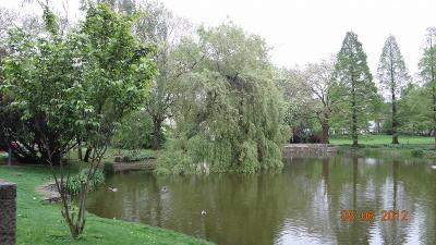 ホテル裏の公園