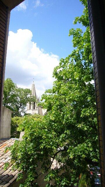 部屋からの眺め 緑が気持ちいい