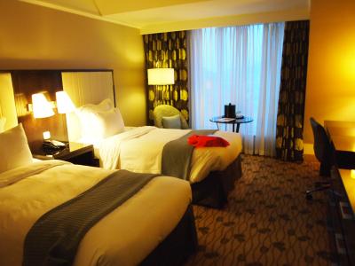 十分な広さです。