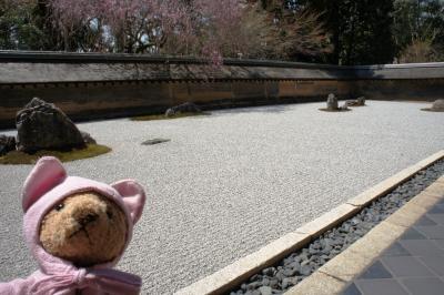 世界に誇る名庭～桜もよし