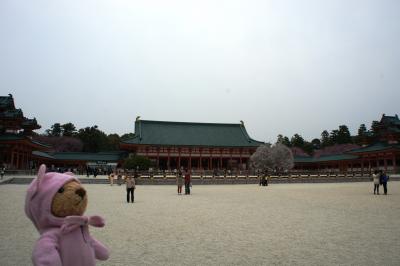 神苑の桜もおすすめ