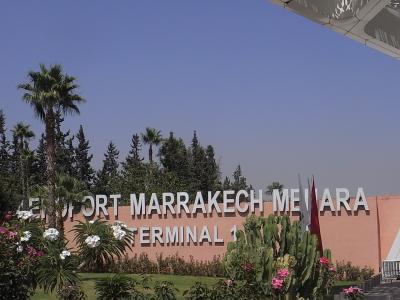 シトロンコンフィ（レモンのピクルス）買おう！