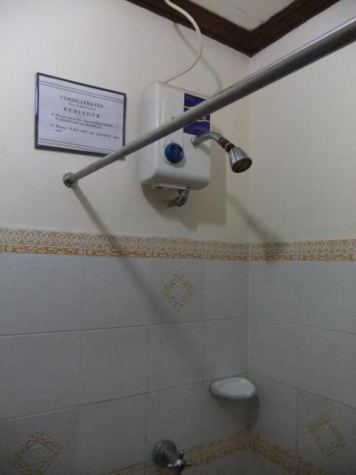 見た目は悪いけど、小さいながらもちゃんと働いてくれるシャワー