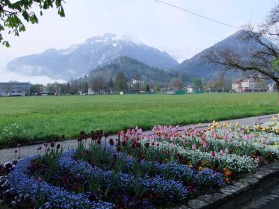 ホテルの目の前の公園からの眺望です。