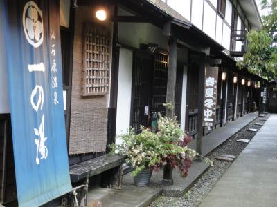 仙石原はたご一の湯