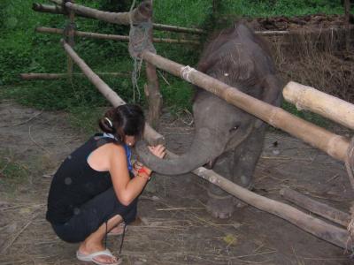 赤ちゃんゾウ　生後６ヶ月