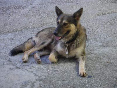 わがままな方は利用しなくて良いでしょう。思いやりのある方にはとても快適！