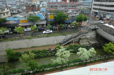 部屋からの景色です