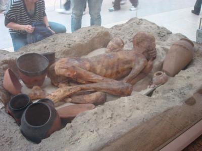 単独見学がおすすめ！