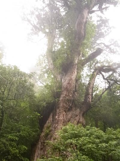 ここでしか体験できない登山