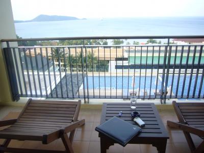 客室のバルコニー。すぐ下がプールです。