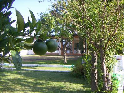 朝食は奥のテラスルームで