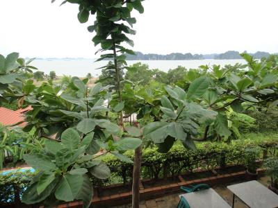 バルコニーからの眺めは最高