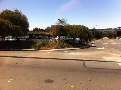 ベイショアをジョギングしている人も見かけました。