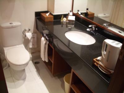 写真ありませんがバスタブも大きかったです