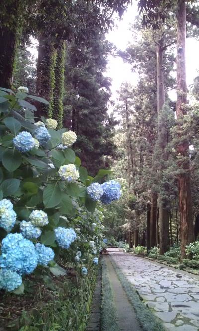 静寂を愉しみに。