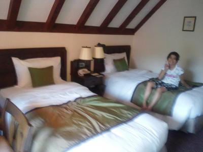 優雅な気分になる　上高地帝国ホテル