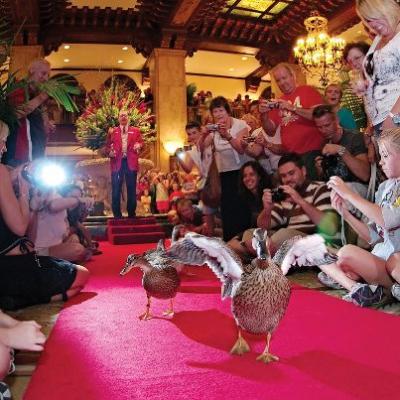 「ダックマーチ」