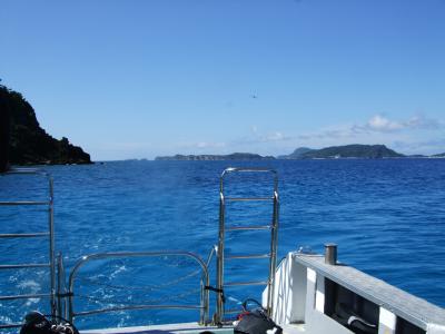 ダイビング最高