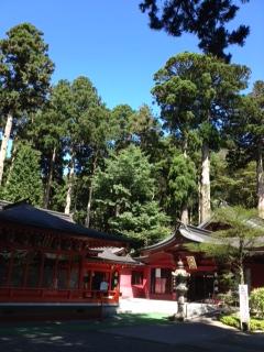 スピリチュアルな雰囲気