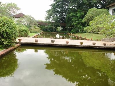 素敵な庭に癒されて、とてもゆったり過ごしました。