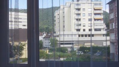 客室内からの眺めです