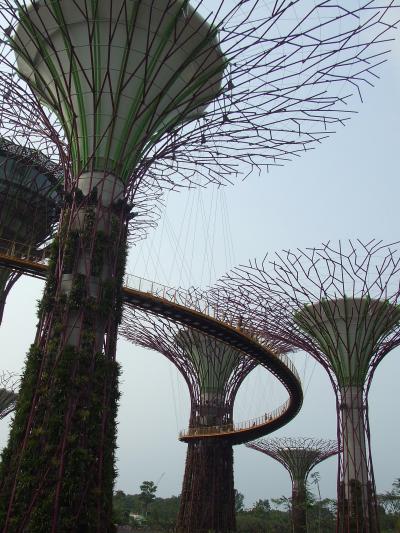 未来都市のような植物園