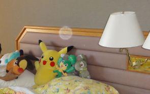 ポケモンルームが最高！