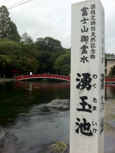 きれいな湧き水